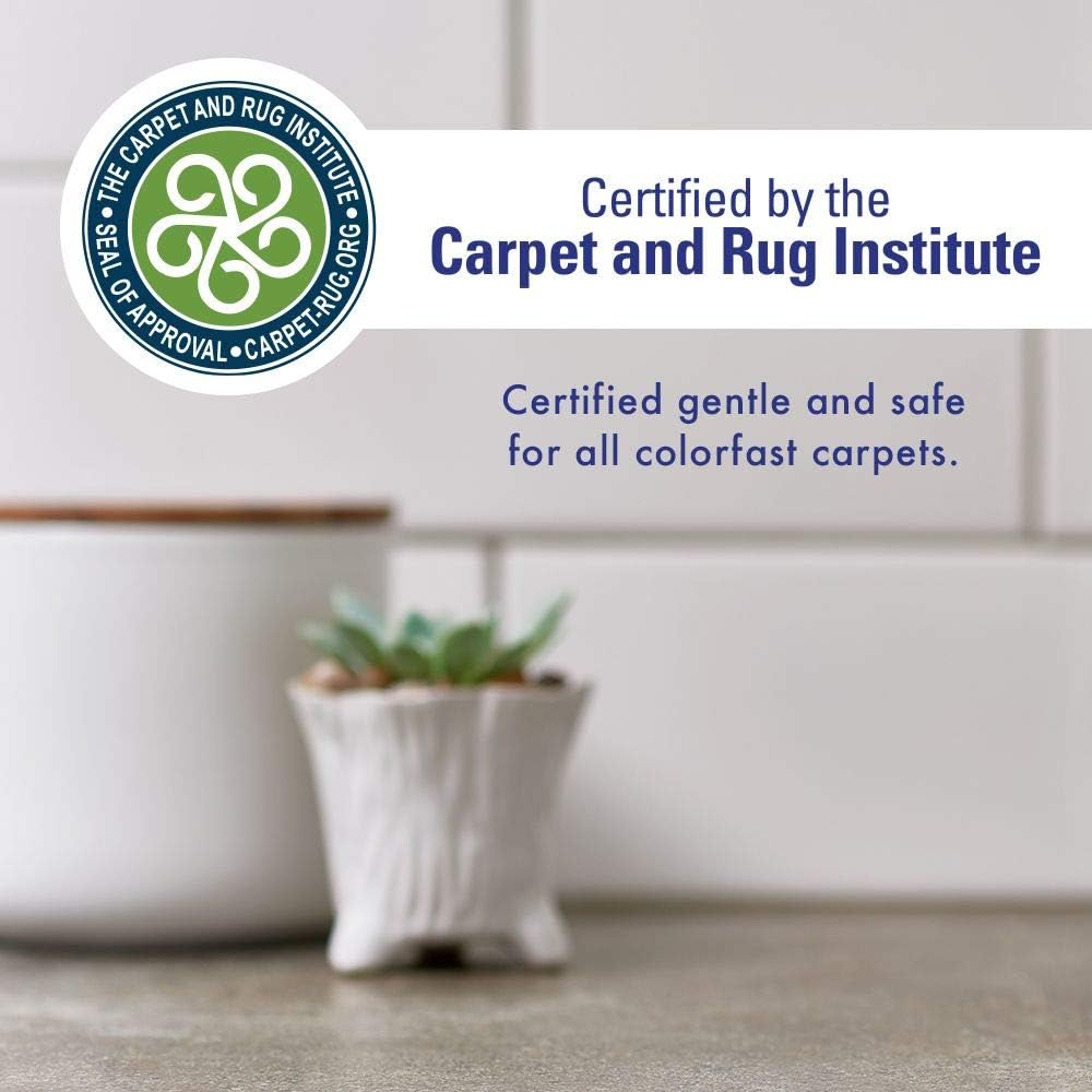 Rocco & Roxie Supply Co. Stain & Strong Odor Eliminator, Enzyme Cleaner, Pet Odor Eliminator for Home - Carpet Stain Remover for Cats & Dog Pee - Urine Destroyer - Carpet Cleaner Spray, 1-Gallon