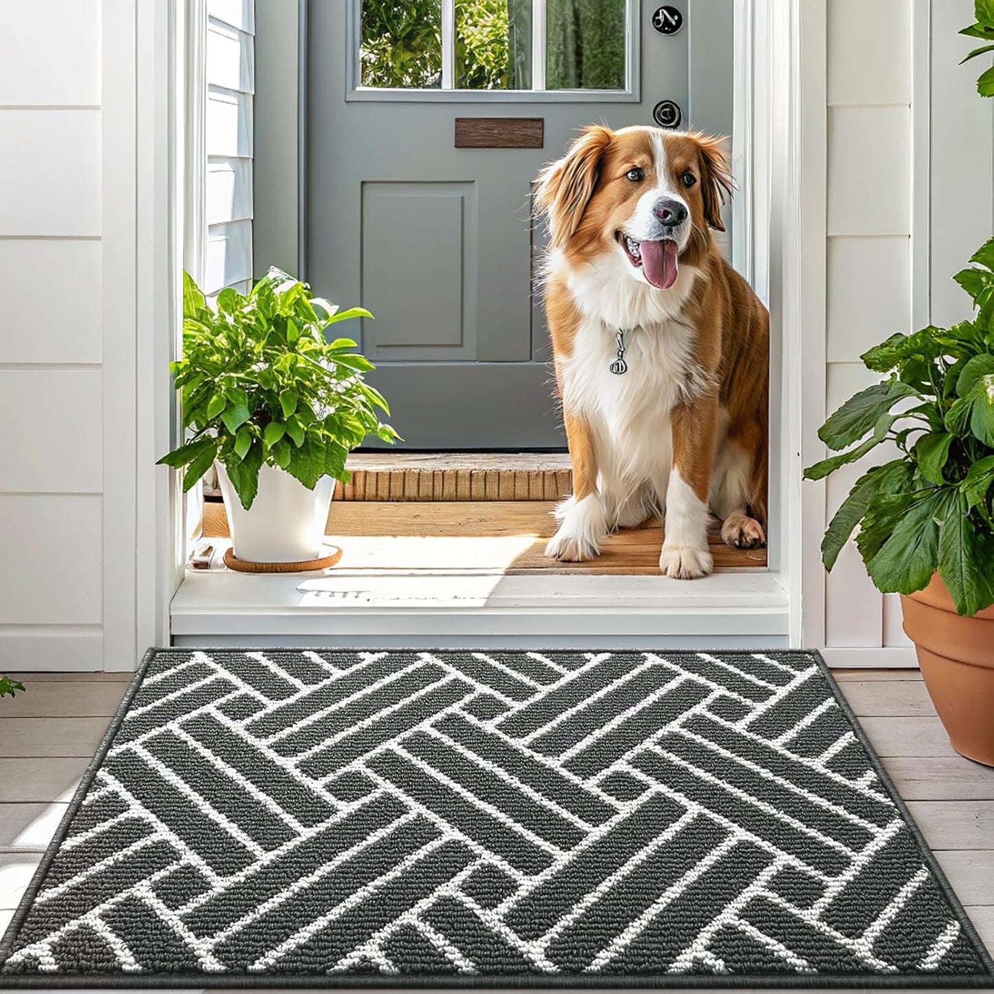 OLANLY Indoor Door Mat, 48x32 Inch, Dirt Resistant and Absorbent, Non-Slip Rubber Backing Floor Mats, Easy Clean Low-Profile Doormat for Entryway, Front Door, and Inside Entrance, Charcoal