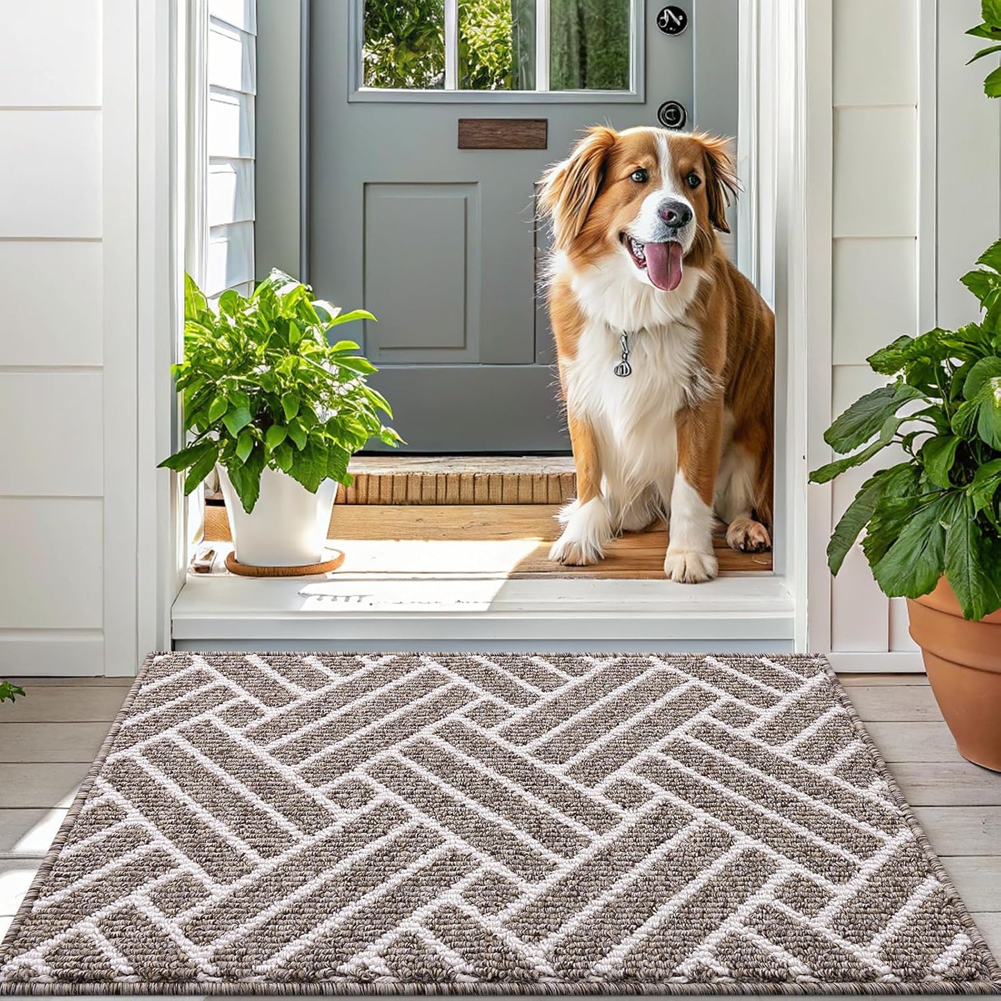 OLANLY Indoor Door Mat, 36x24 Inch, Dirt Resistant and Absorbent, Non-Slip Rubber Backing Floor Mats, Easy Clean Low-Profile Doormat for Entryway, Front Door, and Inside Entrance, Khaki