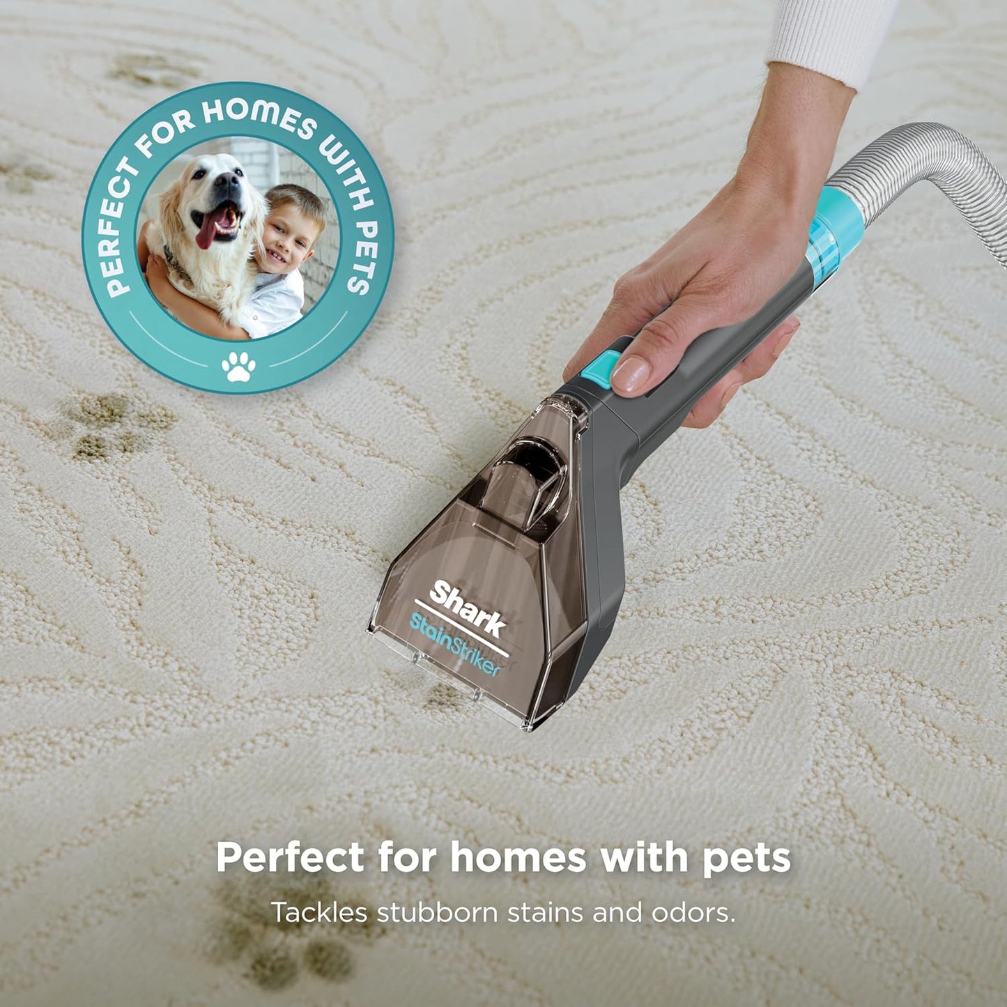 Shark StainStriker Portable Carpet & Upholstery Cleaner w/on board self cleaning - Spot, Stain, & Odor Eliminator, Includes 2 Cleaning Tools & 2 Cleaning Solutions, Charcoal, PX221BRN