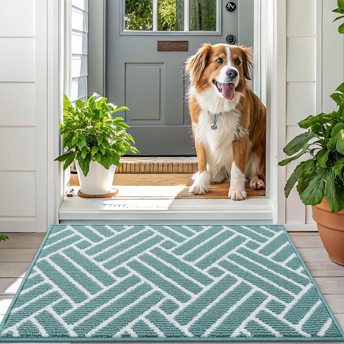 OLANLY Indoor Door Mat, 32x20 Inch, Dirt Resistant and Absorbent, Non-Slip Rubber Backing Floor Mats, Easy Clean Low-Profile Doormat for Entryway, Front Door, and Inside Entrance, Sage Green
