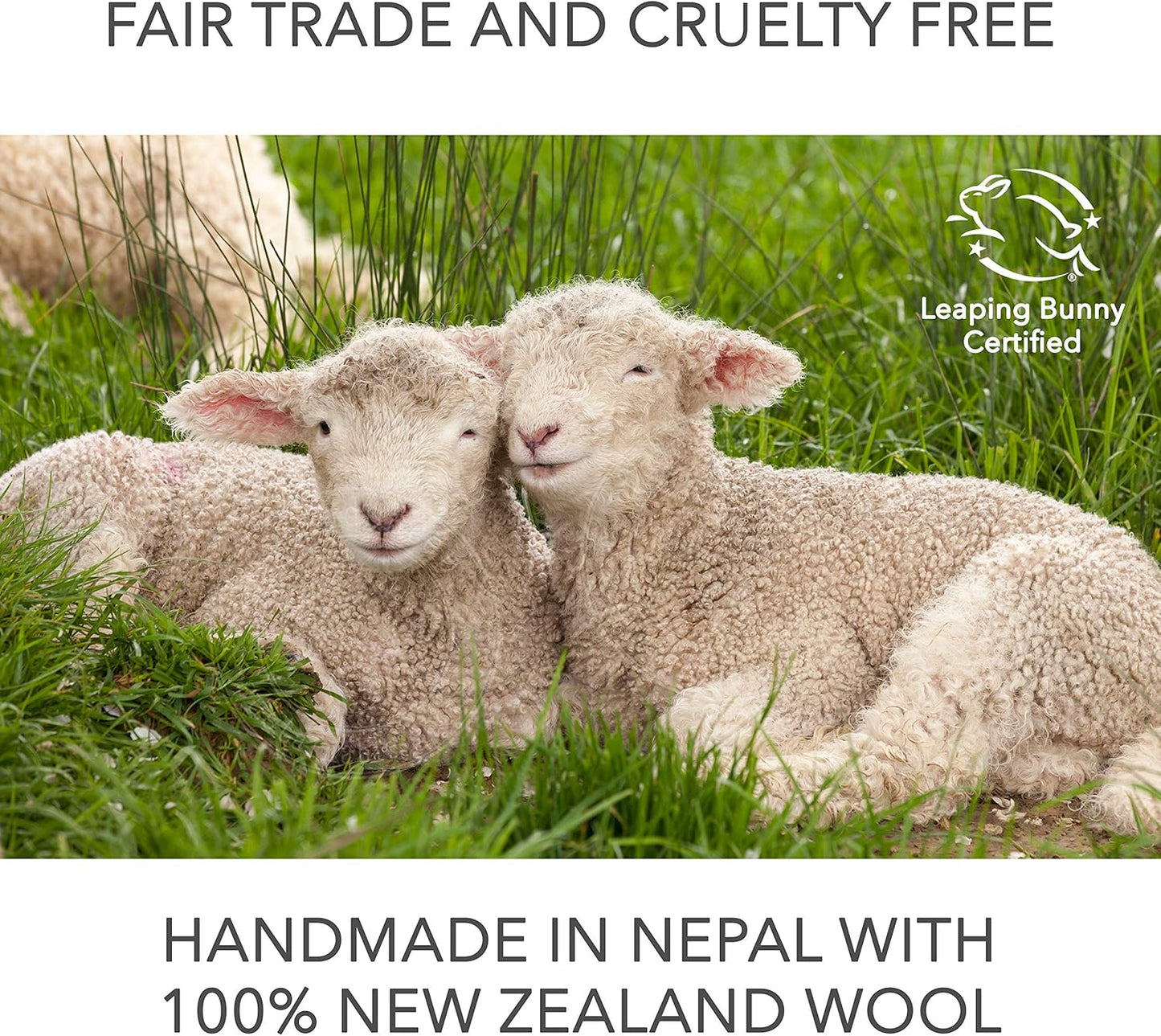 Wool Dryer Balls by Friendsheep 6 Pack XL Organic Premium Reusable Cruelty Free Handmade Fair Trade No Lint Fabric Softener White - "Creamy White"