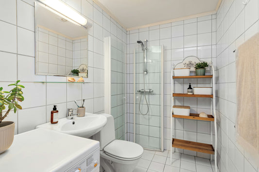 How to Prevent Mold in the Bathroom