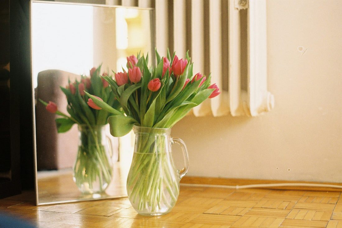 Spring Cleaning Checklist: What to Clean and When