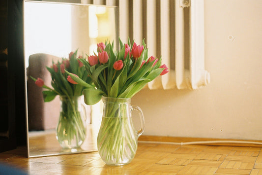 Spring Cleaning Checklist: What to Clean and When