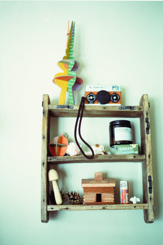 Professional Cleaning Essentials for Every Home