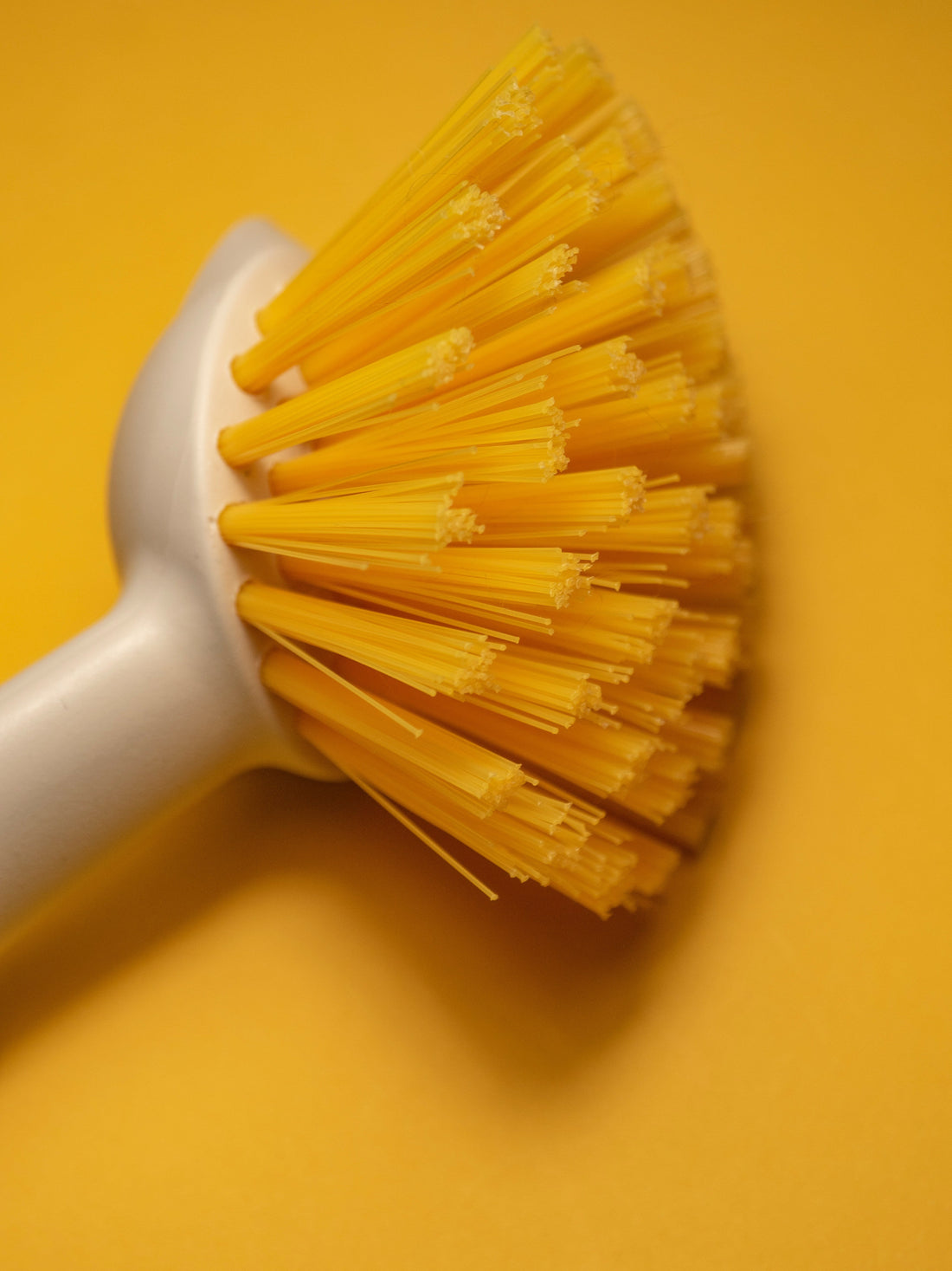 The Best Cleaning Tools Every Home Should Have