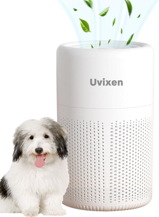 Air Purifiers for Home - Mini Air Purifier with HEPA Air Filter- USB Operated Air Purifier for