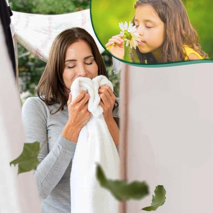 4 in 1 Laundry Dryer Sheets (6.4"x9") 1000 PCS,Household Premium Fabric Softener Fresh Scent,Made in USA,Drive Clothes Ultra Soft,Reduce Static Cling,Help Repel Pet Hair,Easy Dispenser Box Packaging