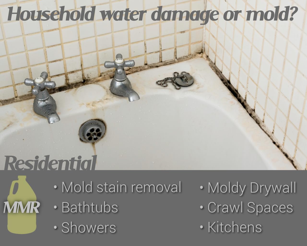 Bad Axe MMR Instant Mold Stain and Mildew Stain Remover - Professional Strength, Contractor Grade Cleaning Solution, Professional Quality Formula, Odor Removal, 1 Gallon (4)