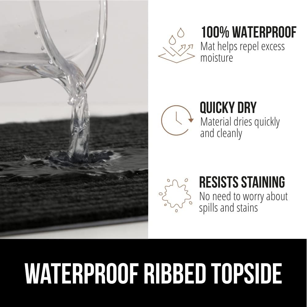 GORILLA GRIP Traffic Guard Door Mat, 2 Pack, Heavy Duty Waterproof Doormat, Commercial Office Space Welcome Mats, Stain and Fade Resistant, Low Profile, Strong Rubber Backing, 29x17, Jet Black