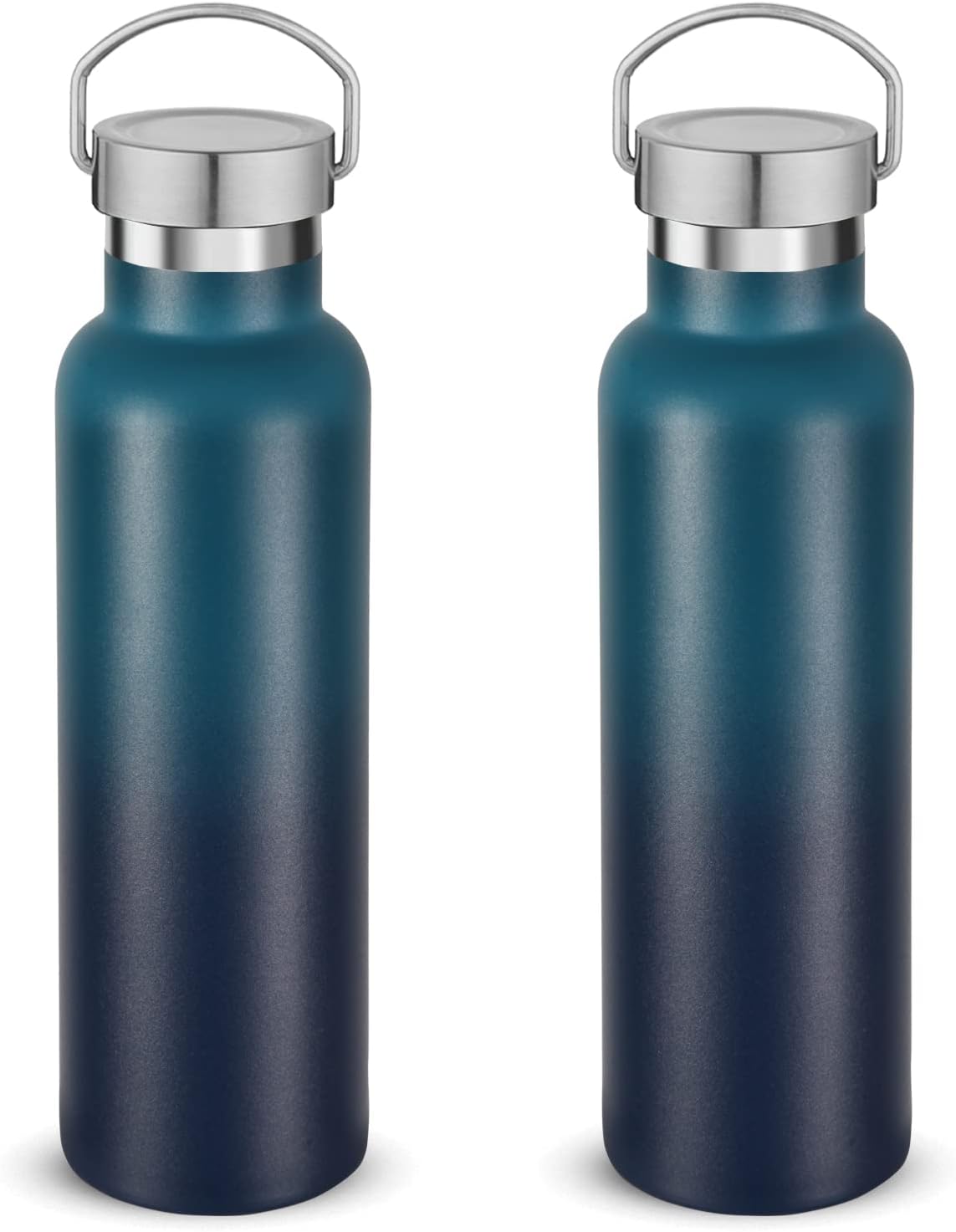 Neihepal 20 oz Insulated Water Bottles Bulk 2 Pack,Stainless Steel Double Wall Sport Bottle with Lid of Handle,Metal Reusable Thermoses Flask for School,Cyclists,Hikers,Gift (Dark Night,Set of 2)