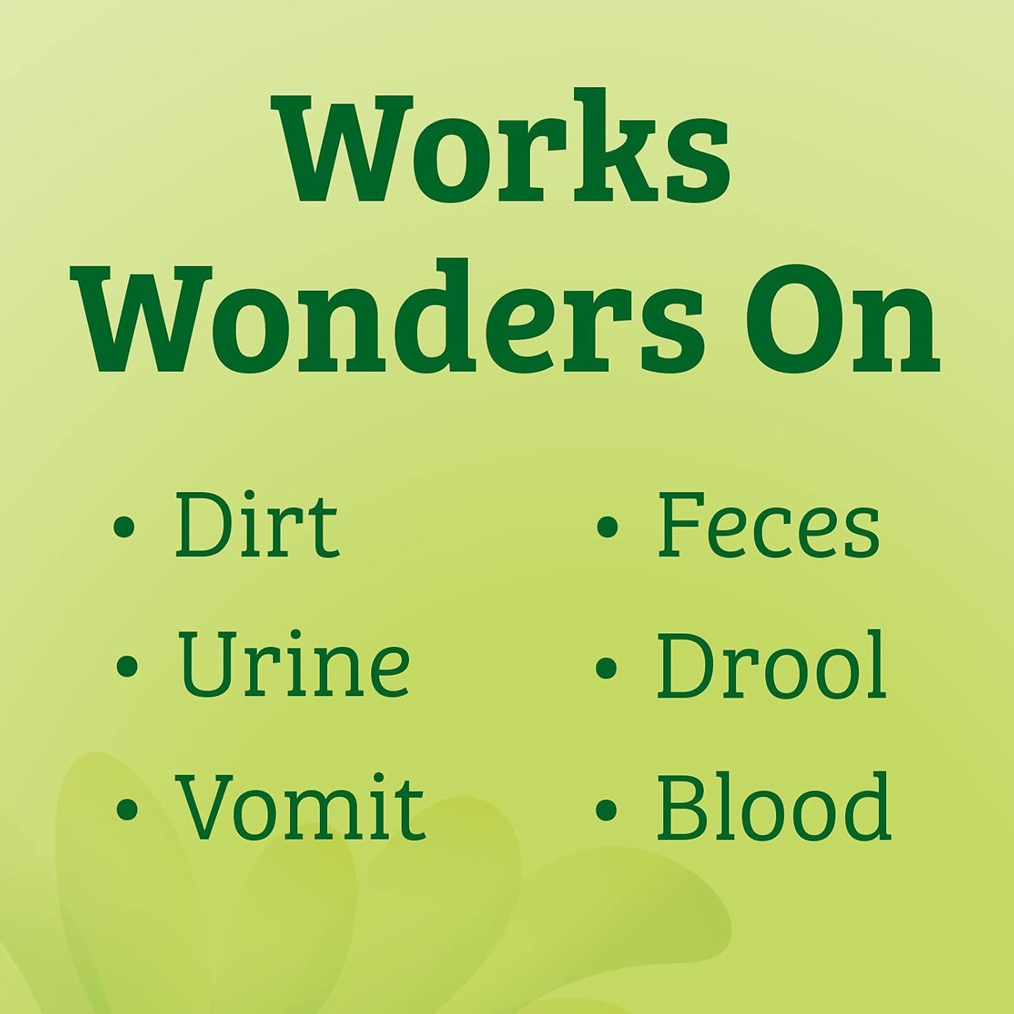 Biokleen Bac-Out Pet Stain Remover - 2 Gallon - Enzymatic, Natural, Destroys Stains & Odors Safely, for Pet Stains on Carpets - Eco-Friendly, Plant-Based