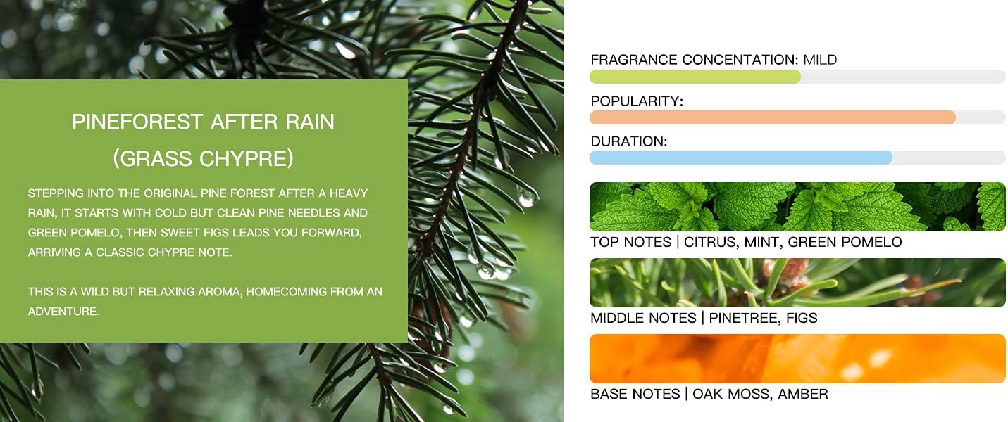 Tesla Model 3 [Not Compatible with Model 3 2024 (Highland)] /Y Air Freshener Invisible Slim Design Four Scents Selection (Pineforest After Rain Set)