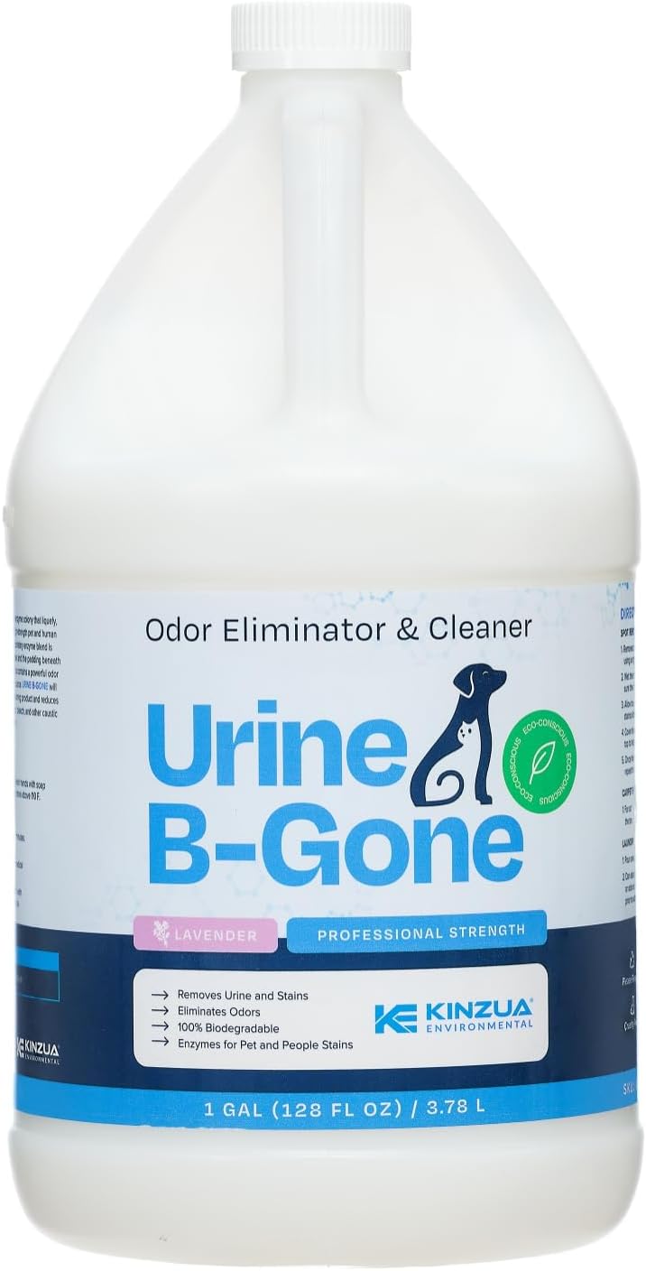 KINZUA ENVIRONMENTAL Urine B-Gone, Professional Enzyme Odor Eliminator & Pet Stain Remover, Human, Cat & Dog Urine Cleaner, Effective on Laundry, Carpets & More, Lavender Scent, 1 Gallon