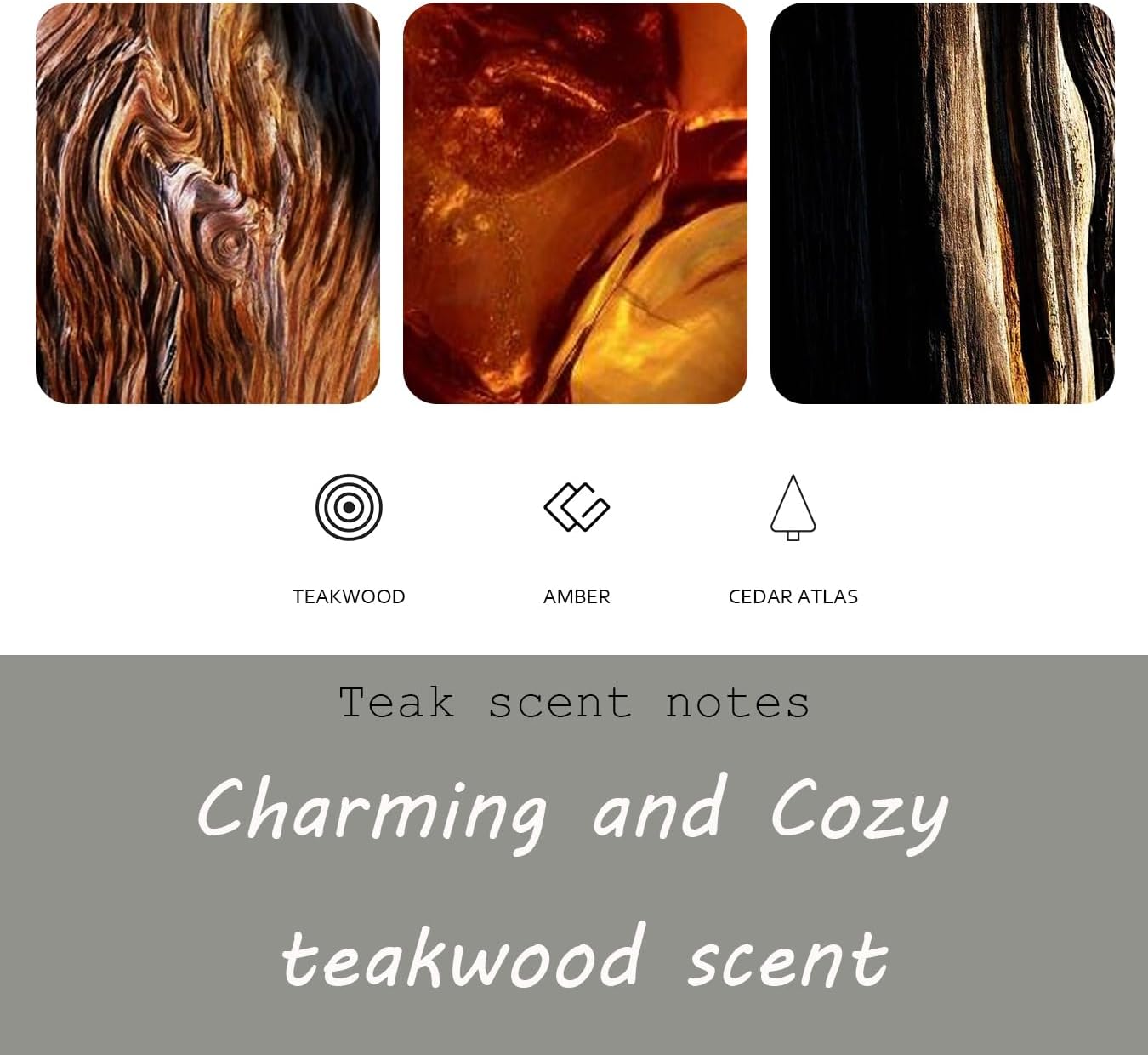 Teak Air Freshener, Stone Scent Starter Kit, Odor Eliminator - Car Visor Clip (Pack of 1 - Teak Scent)