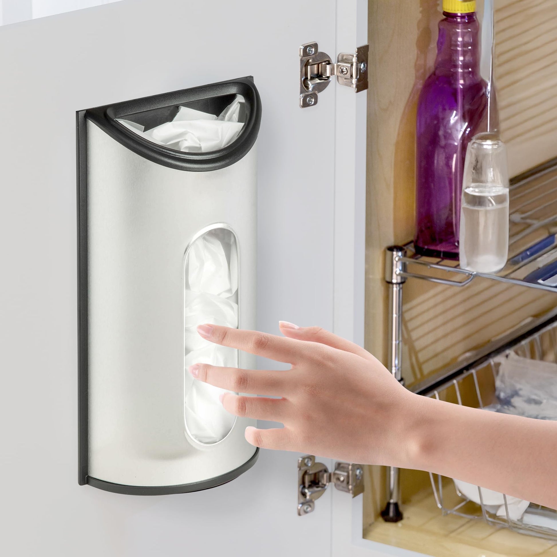 Honey-Can-Do Stainless Steel Plastic Bag Saver & Trash Bag Dispenser, Wall-Mounted Plastic Bag
