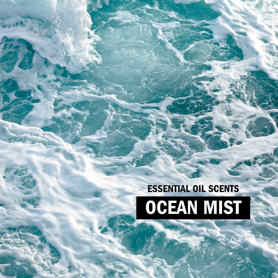 Molly's Suds Liquid Laundry Detergent | Clean Laundry Detergent Soap for Sensitive Skin | 2x Concentrated, High Efficiency (HE) (Ocean Mist - 200 Loads)