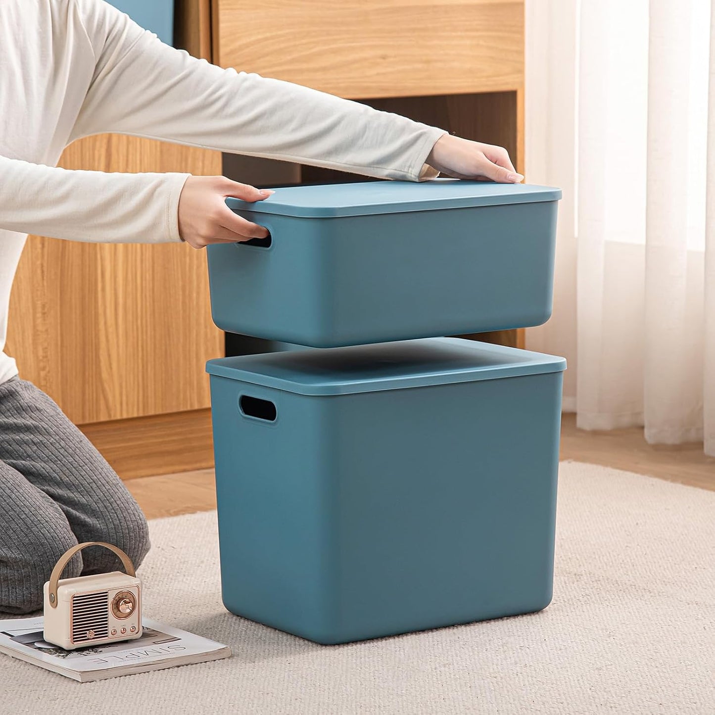 Plastic Storage Bins with lids,Storage Baskets,Container with handle,Storage Organizer Bins for Shelves,Office,Bedrooms,Closets, Cabinets(Blue, 3M)