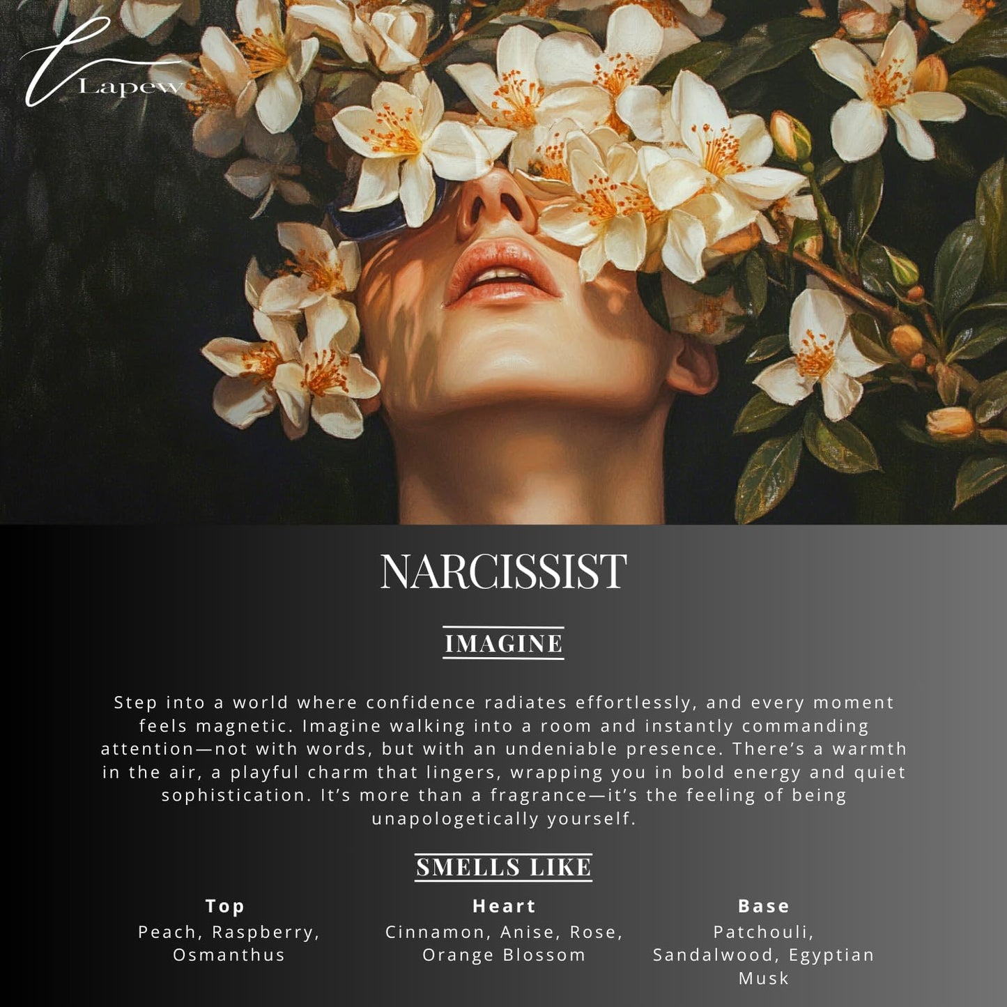 Narcissist Carpet Freshener Powder: Powerful Odor Eliminator for Home, Upholstery Deodorizer, Carpet Deodorizer, Pet Urine, Cat Litter Box - Narcissist Fragrance.