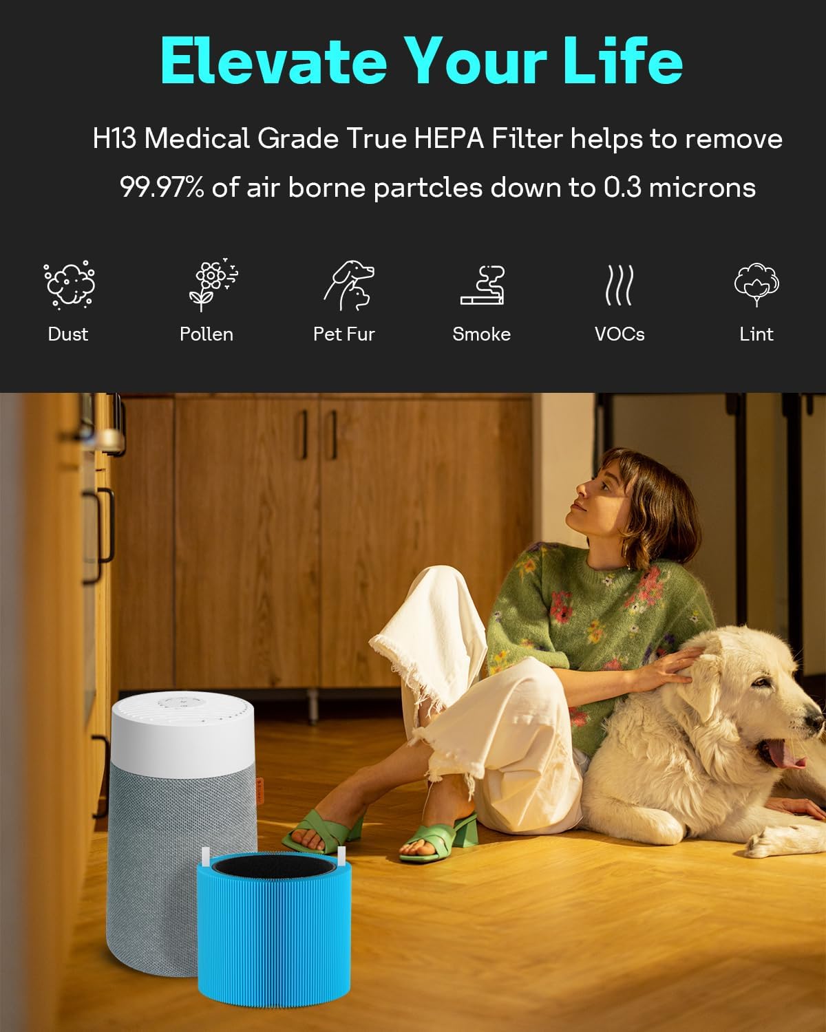 Leemone 2 Pack mini Max AllergenBlock Filter Compatible with Blueair Blue Pure Mini Max Air Purifiers, Activated Carbon FMINI Filter