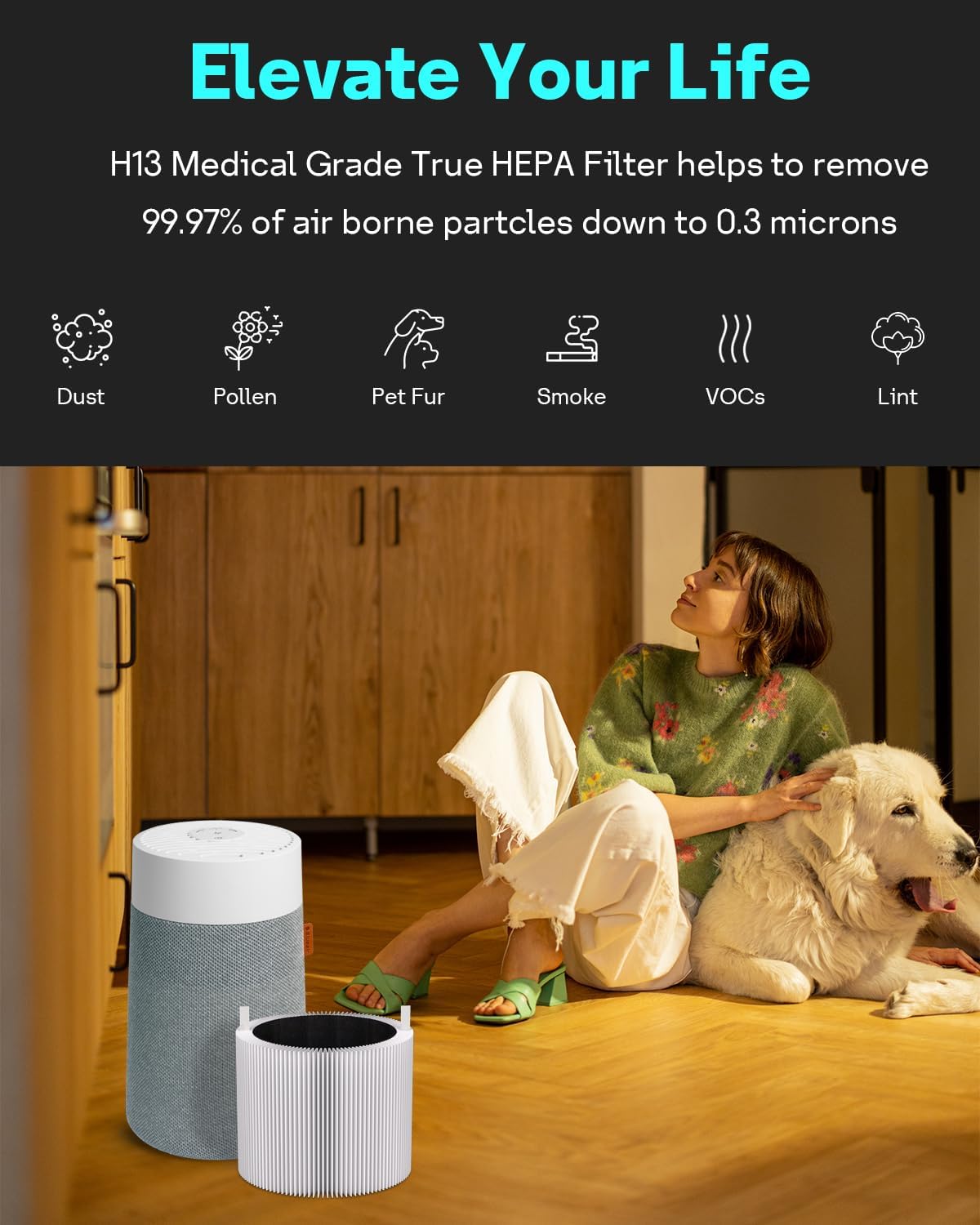 Leemone 2 Pack mini Max SmokeBlock Filter Compatible with SmokeBlock Mini Max Air Purifiers, Activated Carbon FMINI Filter