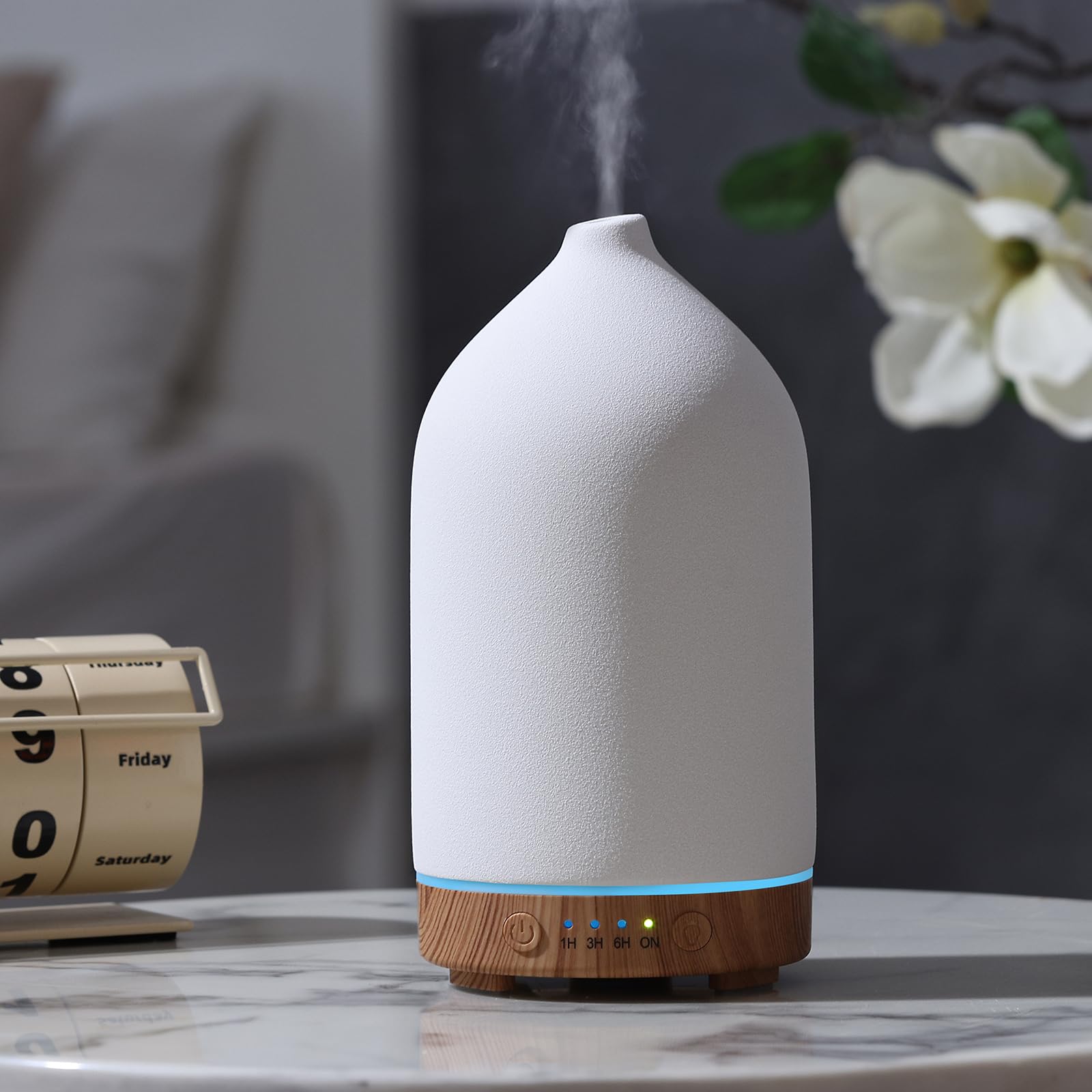 Gooamp 200ML Ceramic Essential Oil Diffuser for Home, Stone Diffuser