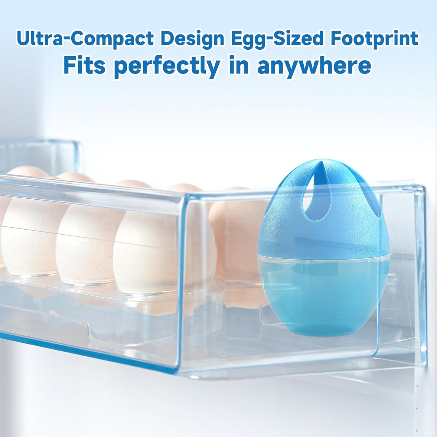 Refrigerator Deodorizer 3 Pack, Natural Plant Fridge Deodorizer More Effective Than Baking Soda, Long-Lasting Odor Eliminator for Refrigerator, Air Freshener for Kitchen, Shoe Cabinet, Pet Areas