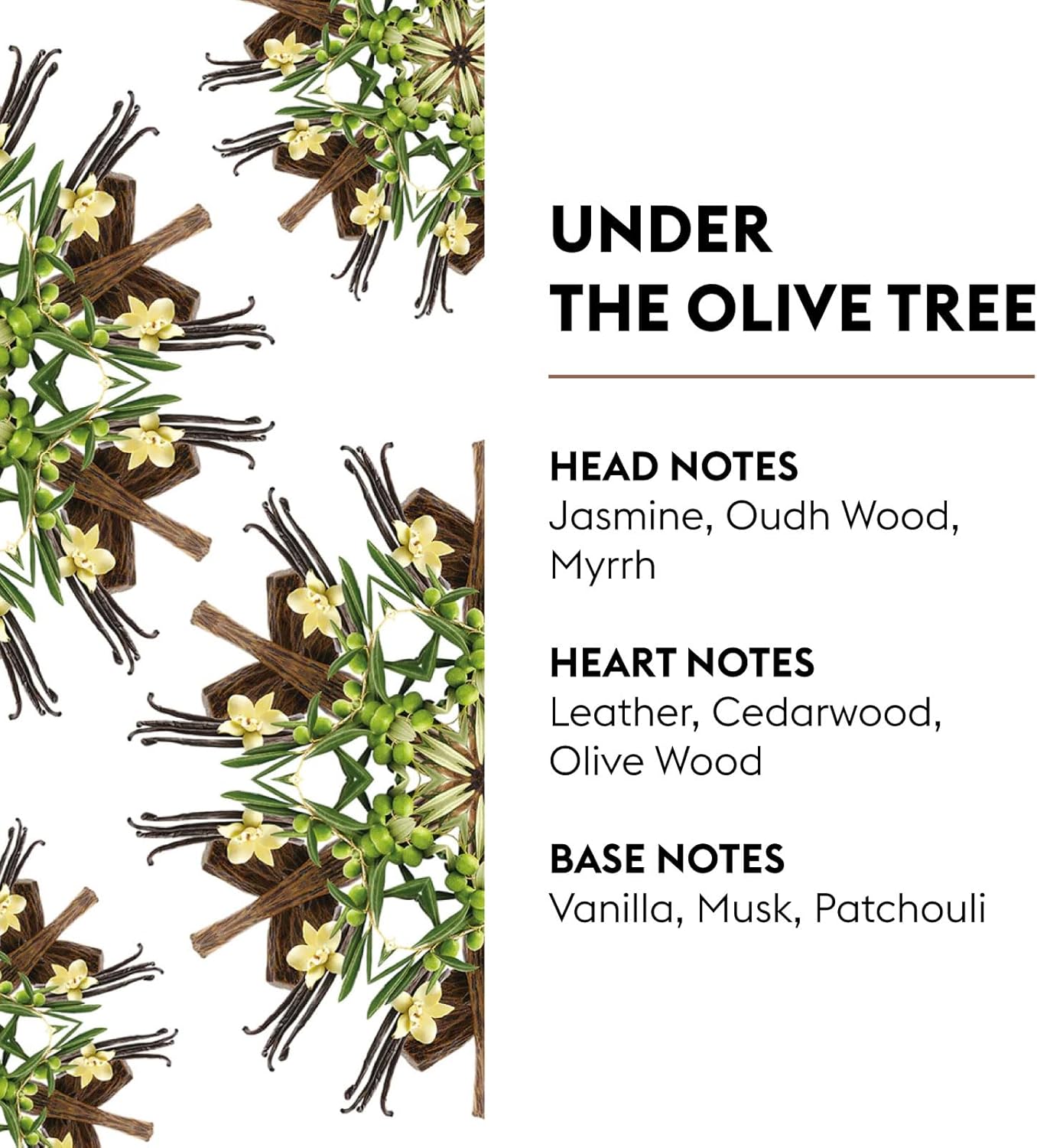 MAISON BERGER - Under The Olive Tree - Lampe Berger Fragrance Refill for Home Fragrance Oil Diffuser - Air Freshener - 33.8 Fluid Ounces - 1 Liter