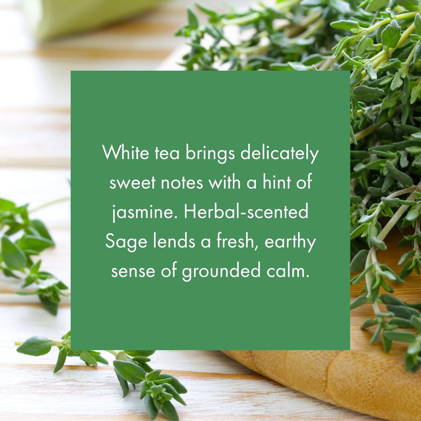 ScentAir Whisper Home Monthly Plug-in Refill, Fragrance Cartridge for Home and Office, White Tea & Thyme