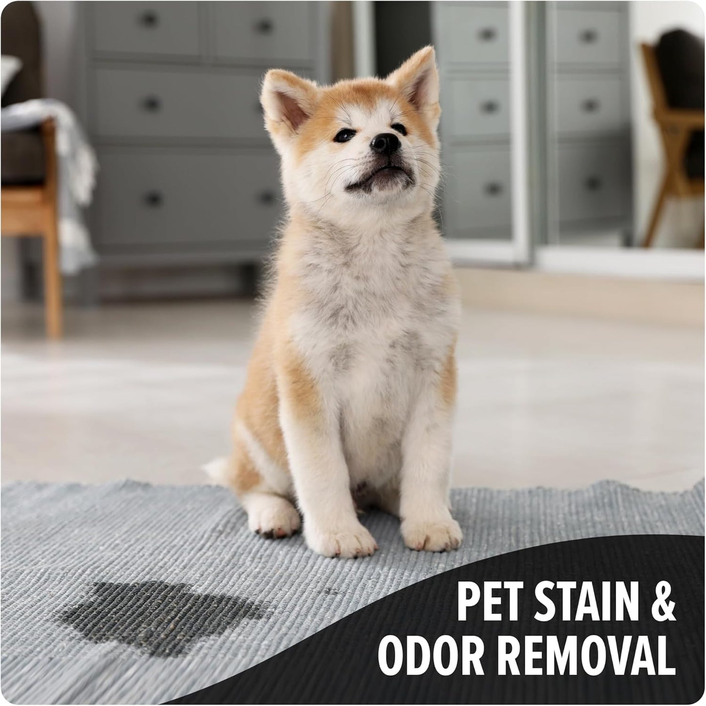 Dirt Devil Pet Carpet Cleaner Solution, 64 oz., Tropical Breeze Scent, Carpet Shampoo Solution, Eliminates Pet Stains and Odors, Pair with Dirt Devil Full Size Carpet Cleaner Machines