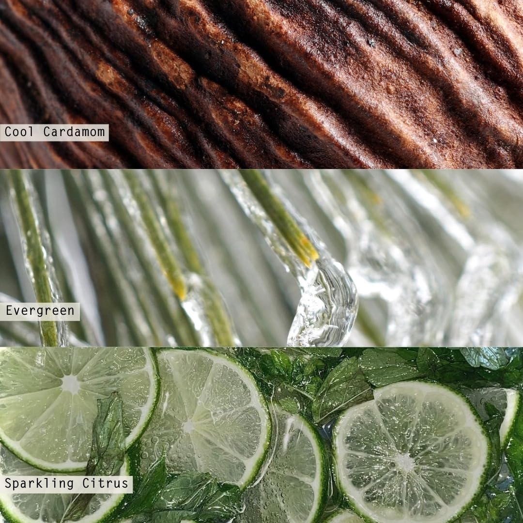 ILLUME Boxed Glass Candle Refill, Winter White