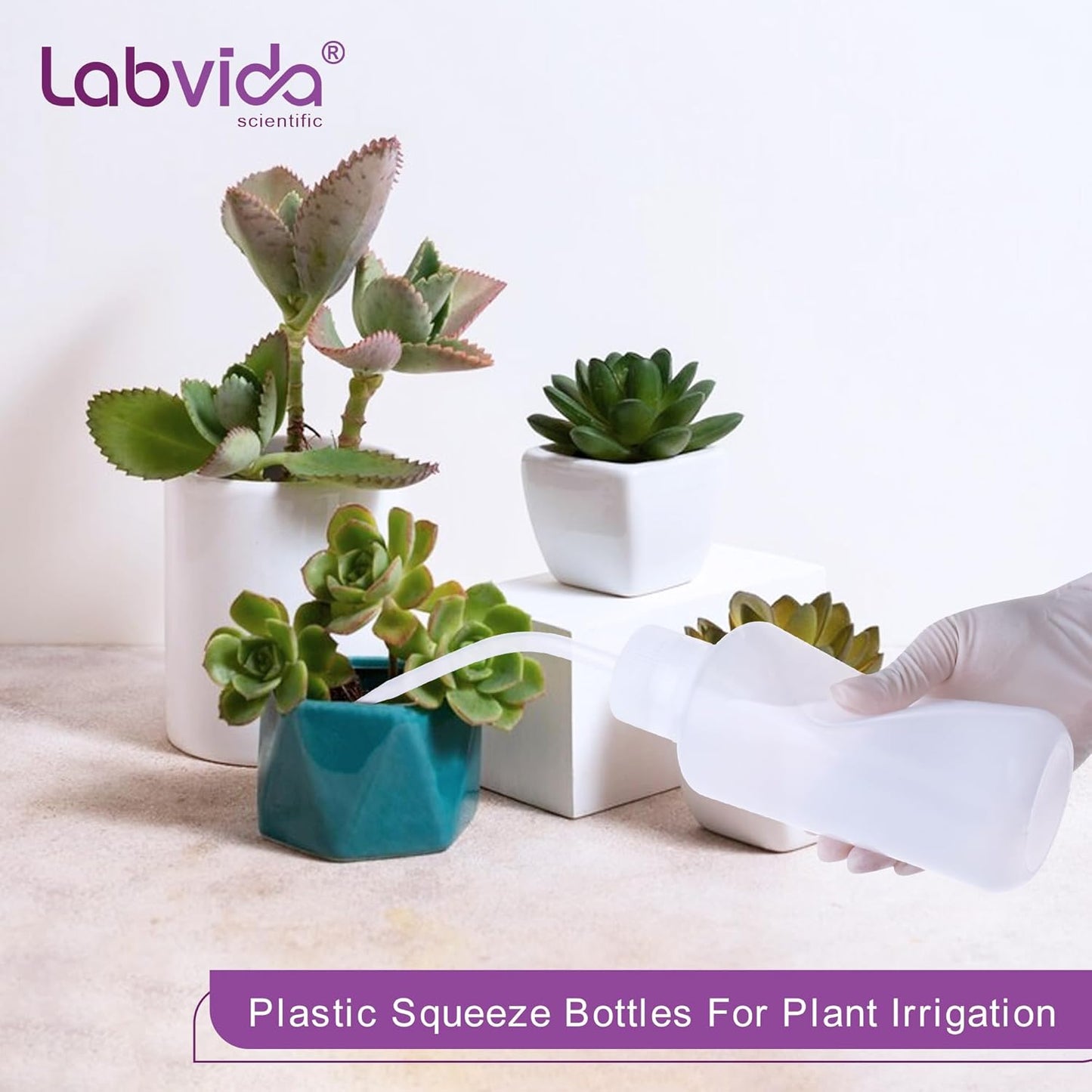 4 pcs of Plastic Squeeze Bottles, Lab Wash Bottle Squeeze Vol.1000ml 33.8oz, LDPE Bottle with PP Draw Tube used for Wash Labware, Cleanig Body Tattoo, and Succulent Watering Irrigation, LVM011