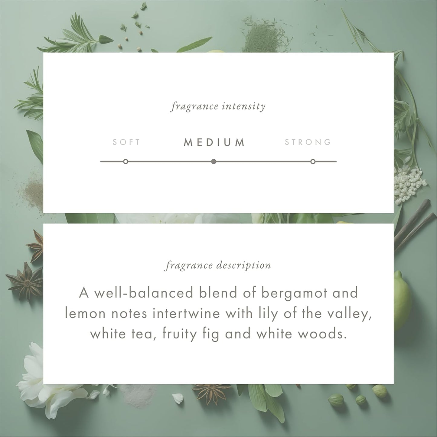 ScentAir Whisper Home Monthly Plug-in Refill, Fragrance Cartridge for Home and Office, White Tea & Fig