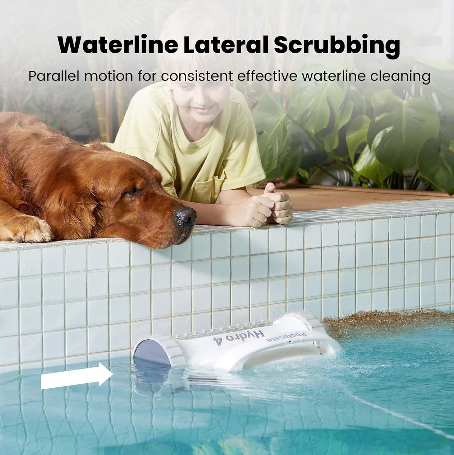 Poolmate Hydro 4 Corded Robotic Pool Cleaner, Pool Vacuum for Inground Aboveground Pools, 4.1L Filter Basket, Floor Wall Waterline Cleaning, Pool Cleaner Robot Ideal for Pools up to 50 FT in Length