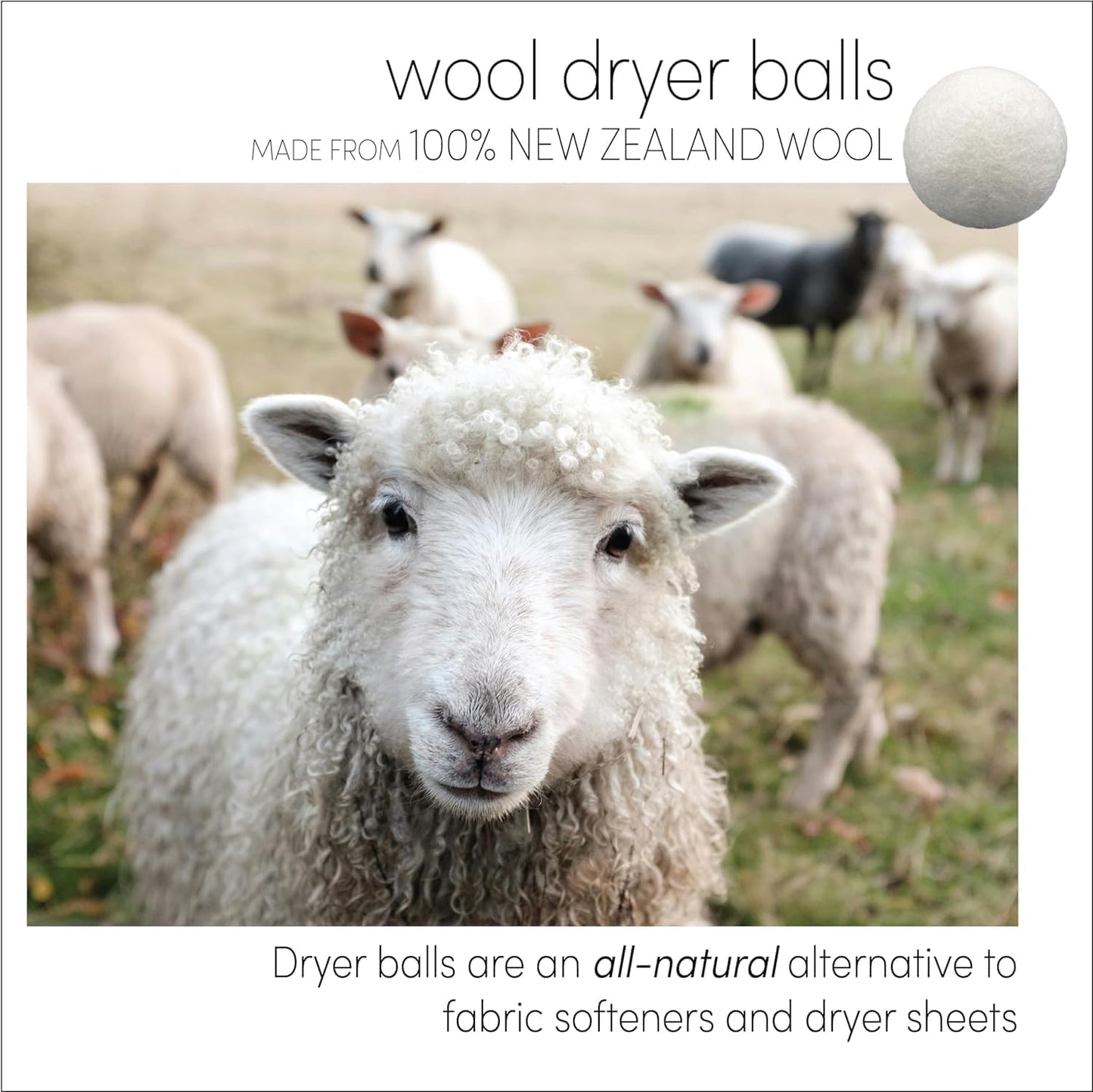Three by Three Seattle Felt·Like·it!™ XL Wool Dryer Balls + Storage Bin: Reduce Drying Time, Static Cling, and Energy Use | Natural Alternative to Fabric Softeners | (Pack of 3 White Dryer Balls)