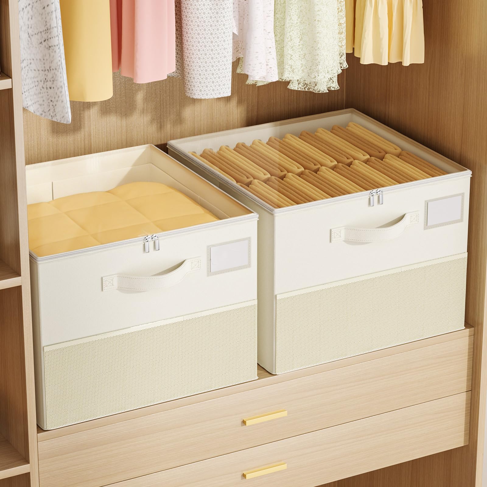 Plus Size 2 Pack Shoe Organizer for Closet, Foldable Shoe Storage Box