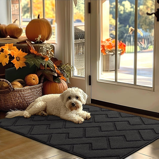 hicorfe Indoor Door Mat,Non Slip Door Mats,32"x48" Front Back Door Mat Rubber Backing,Absorbent