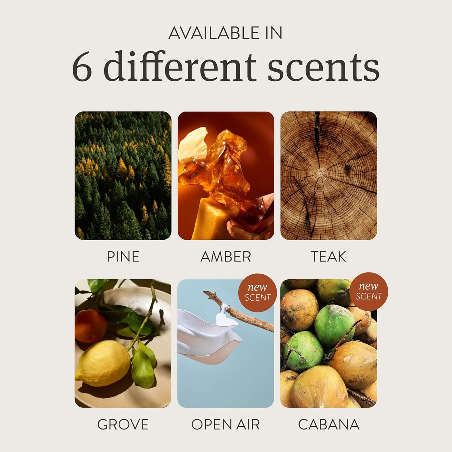 Drift Car Air Freshener - Stone Air Freshener - Car Odor Eliminator - Apple Picking Scent Starter Kit