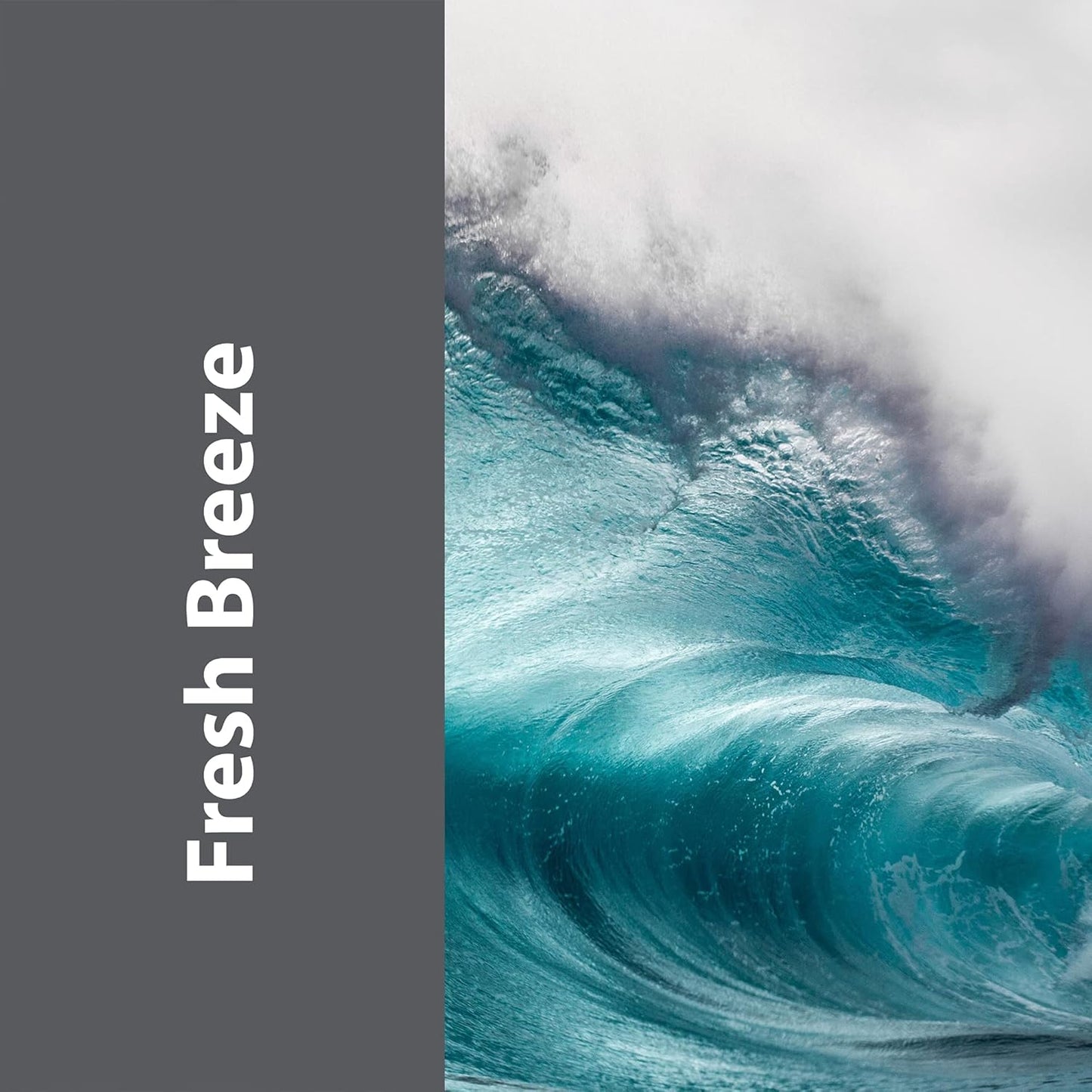 Pro-Grade Multi-Purpose Probiotic Enzyme Cleaner - Pet Stain and Odor Remover, Drain Cleaner - Powerful Cleaning & Odor Eliminating Formula For Professional & Home Surfaces - 1 Gallon