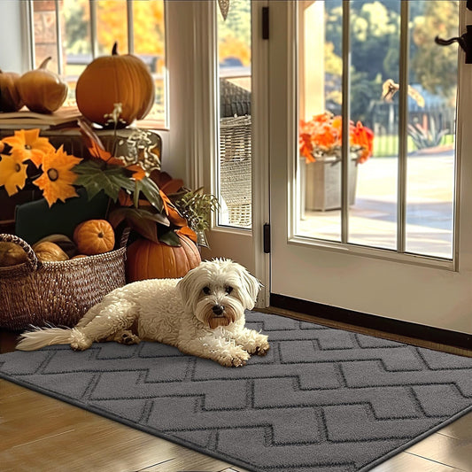 hicorfe Indoor Door Mat,Non Slip Door Mats,32"x48" Front Back Door Mat Rubber Backing,Absorbent