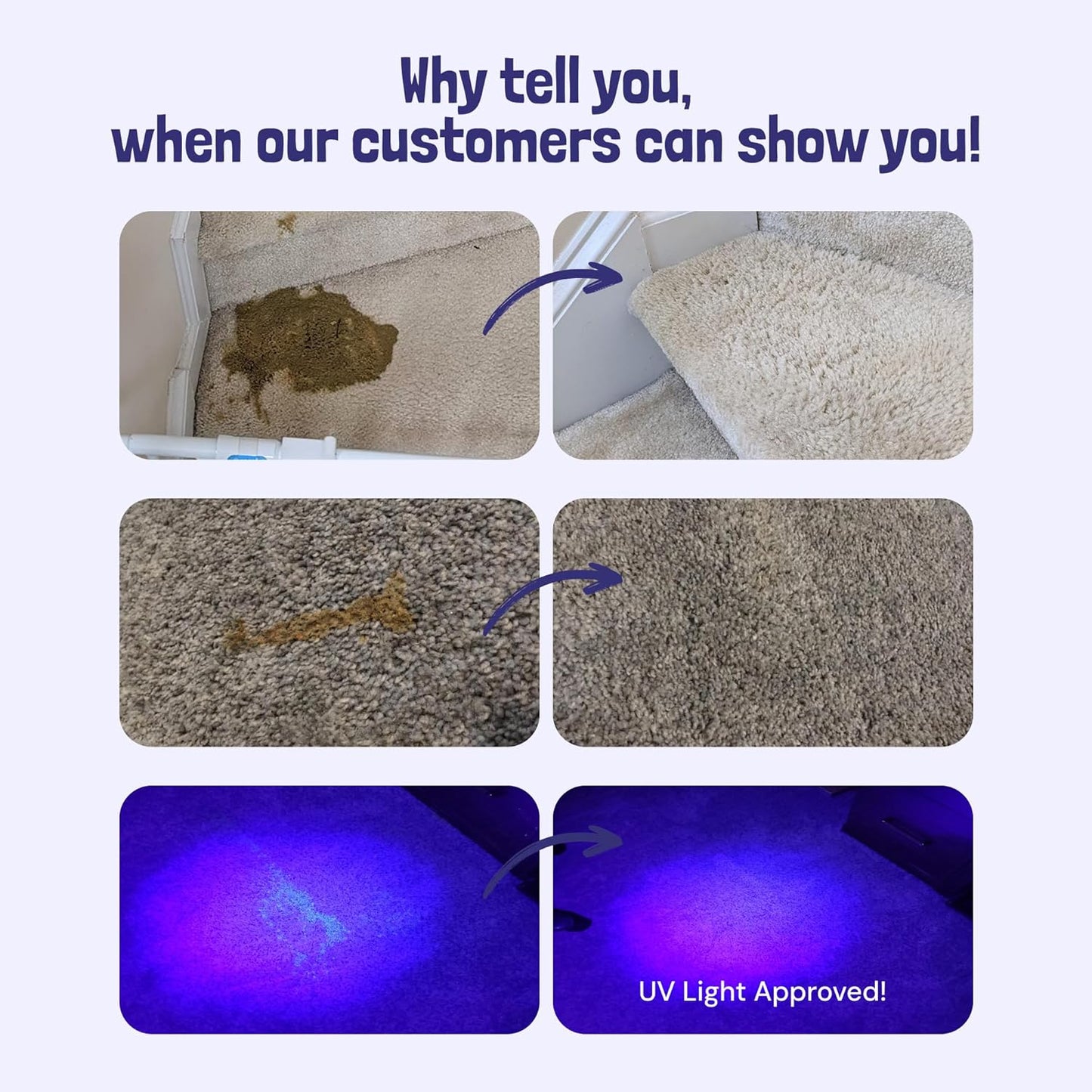 Sunny & Honey Pet Stain & Odor Miracle - 32 Fl Oz, Light Lavender Scent - Carpet Stain Remover & Urine Odor Eliminator - Upholstery Cleaner Spray - Enzyme Formula for Upholstery, Couch & Mattress