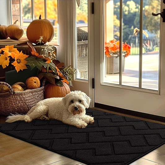 hicorfe Indoor Door Mat,Non Slip Door Mats,32"x48" Front Back Door Mat Rubber Backing,Absorbent