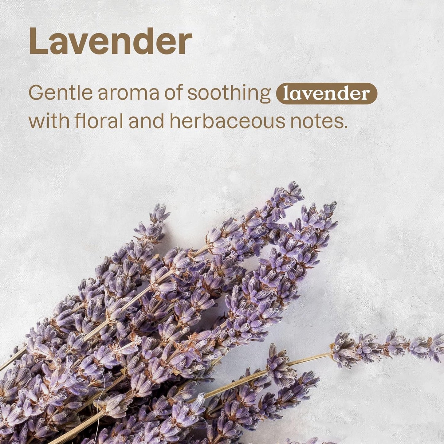 ATTITUDE Fabric Refresher for Pets, Neutralizes Odors, Plant and Mineral-Based Ingredients, Vegan and Cruelty-free, Lavender, 16 Fl Oz