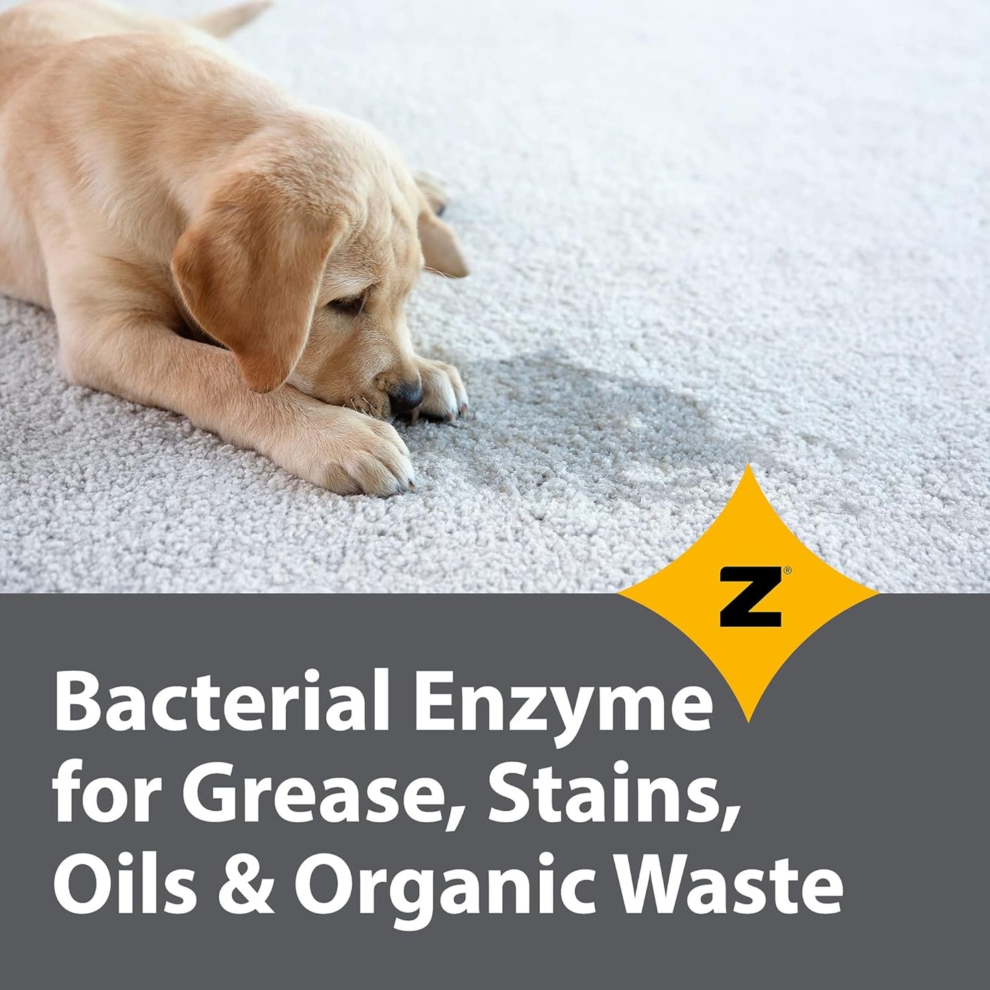 Pro-Grade Multi-Purpose Probiotic Enzyme Cleaner - Pet Stain and Odor Remover, Drain Cleaner - Powerful Cleaning & Odor Eliminating Formula For Professional & Home Surfaces - 32 Ounce