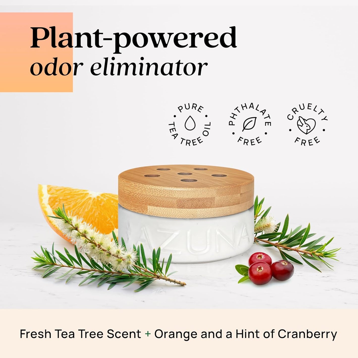 Azuna Air Freshener & Odor Eliminator for Strong Odor | 2 Room Kit Includes (2) Empty Luxe Glass Jar & 12oz Gel Refill with Tea Tree Essential Oil | Simply Citrus | Last 60-90 Days