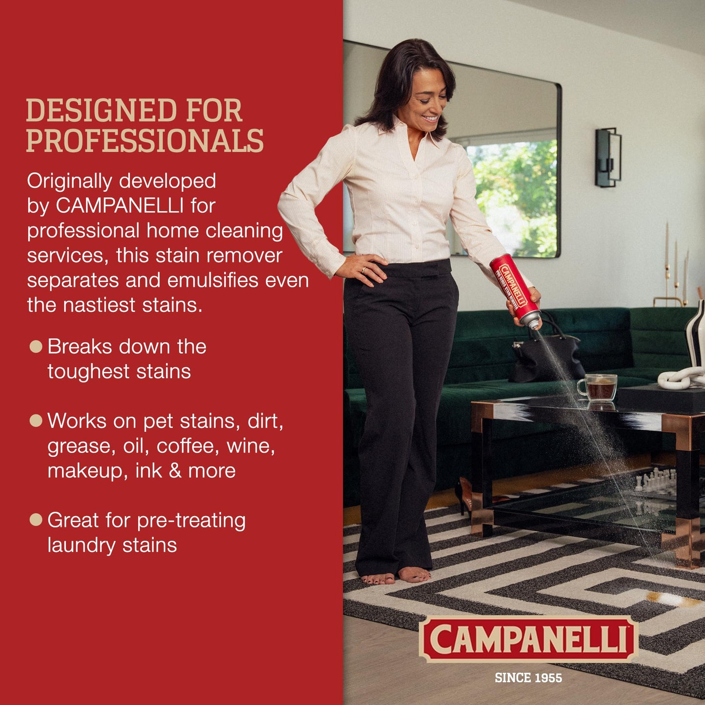 CAMPANELLI Pro Series Carpet & Upholstery Stain Remover Spray, 18Oz Aerosol