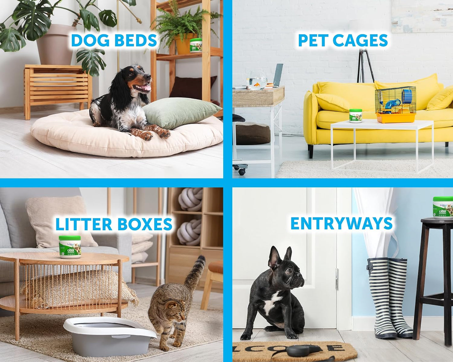 Bright Air 14 oz. Super Odor Eliminator, for Medium-Size Spaces, Cool Citrus Scent, Case of 6, Air Freshener, Natural Essential Oils, Lasts Up to 90 Days Each