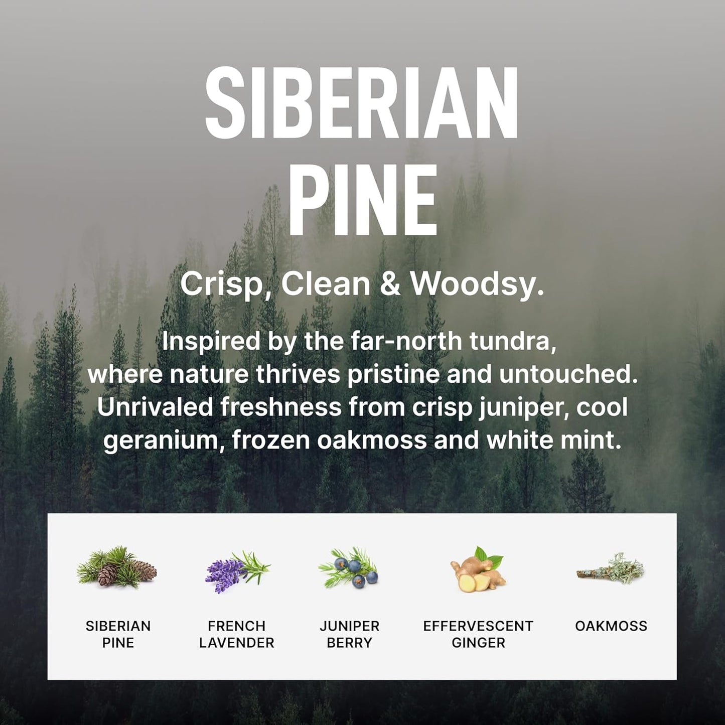 Laundry Sauce Fabric Refresher Spray, Odor-Fighting Fabric Refresher, Fragrance and Laundry Scent, 9.8 fl oz, Siberian Pine