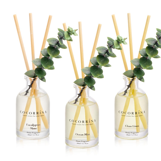 COCORRÍNA Eucalyptus Reed Diffuser Set of 3 - Eucalyptus & Moss, Clean Linen, Ocean Mist Scents